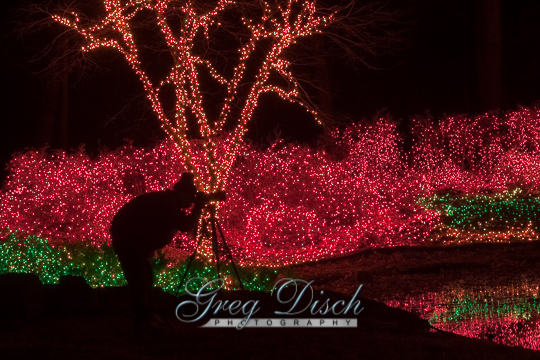 Garden of Lights Muskogee Oklahoma081228_MG_4406