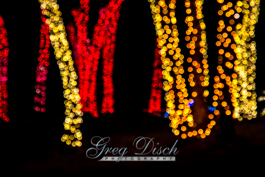 Garden of Lights Muskogee Oklahoma20131130-_MG_9426