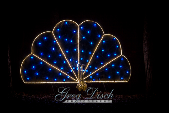 Holiday Lights - Garvan Woodland Gardens20131203-_MG_0058