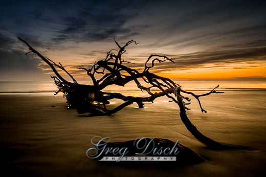 Jekyll Island Georgia GA Driftwood Beach sunset photo 5x7 or request 8x10 or CD 