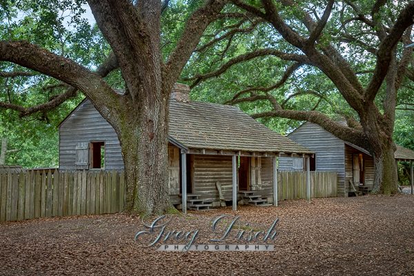 Oak Alley Plantation Greg Disch Photography